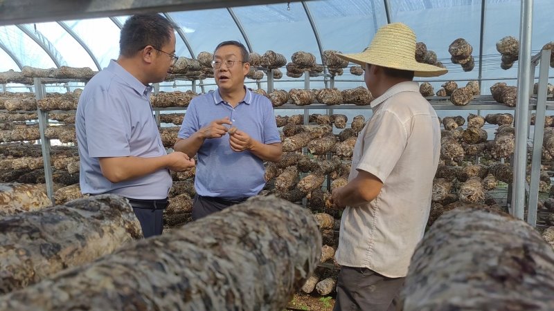蔬菜研究所科技人員赴積石山縣開展技術服務